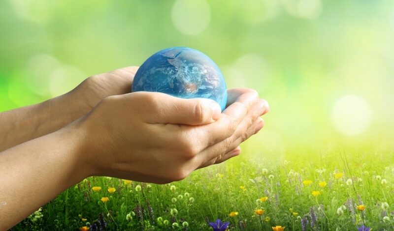 3 Tips for Becoming an Earth Friendly Family